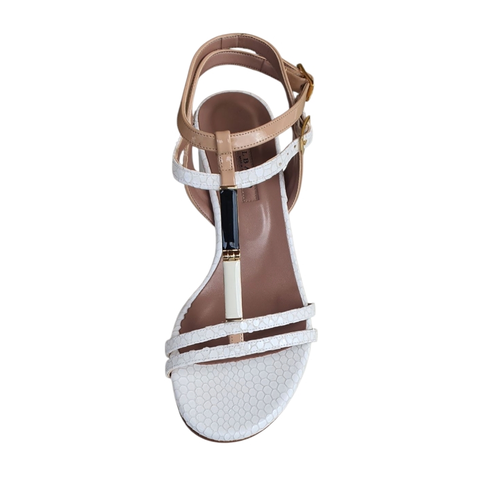 1798 Lucertola bianco